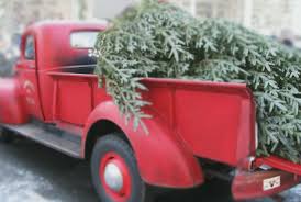 Pick Up and Delivery Service Snowblower delivery services